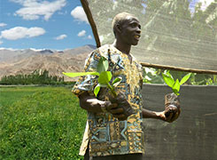 Infocus_ag2_240